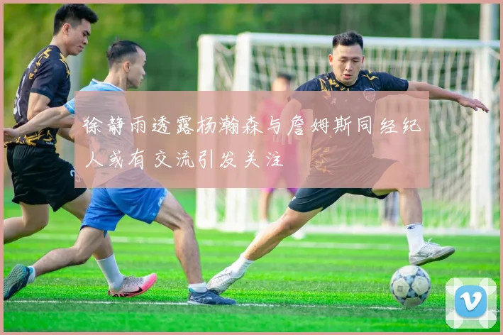 徐静雨透露杨瀚森与詹姆斯同经纪人或有交流引发关注